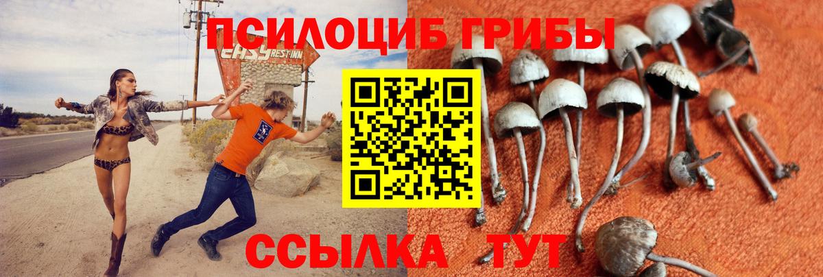как найти закладки  Галлюциногенные грибы Psilocybine cubensis  Вход с VPN  Галлюциногенные грибы MAGIC MUSHROOMS  Горячий Ключ 