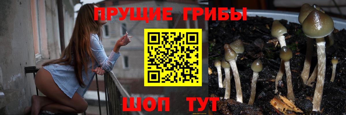 Псилоцибиновые грибы Magic Shrooms Горячий Ключ